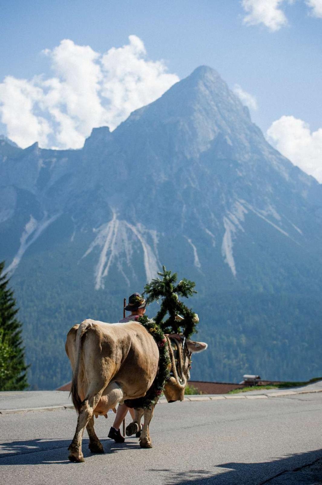 Appartement Zugspitz By Alps *